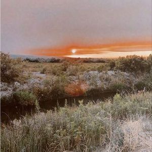 Meet your Posher, Isabelle